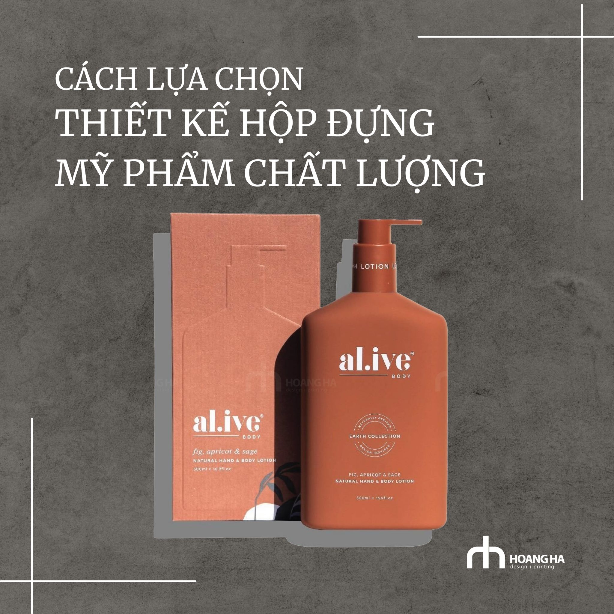 Cách để lựa chọn thiết kế hộp đựng mỹ phẩm chất lượng