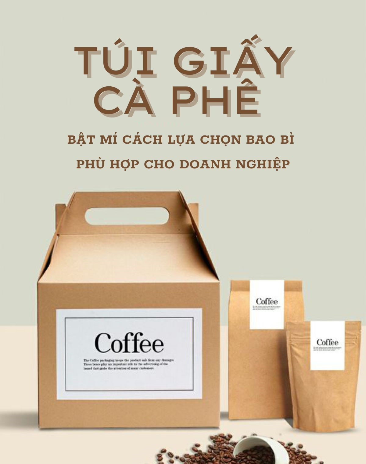 Bật Mí Cách Lựa Chọn Bao Bì Túi Cà Phê Phù Hợp Cho Doanh Nghiệp