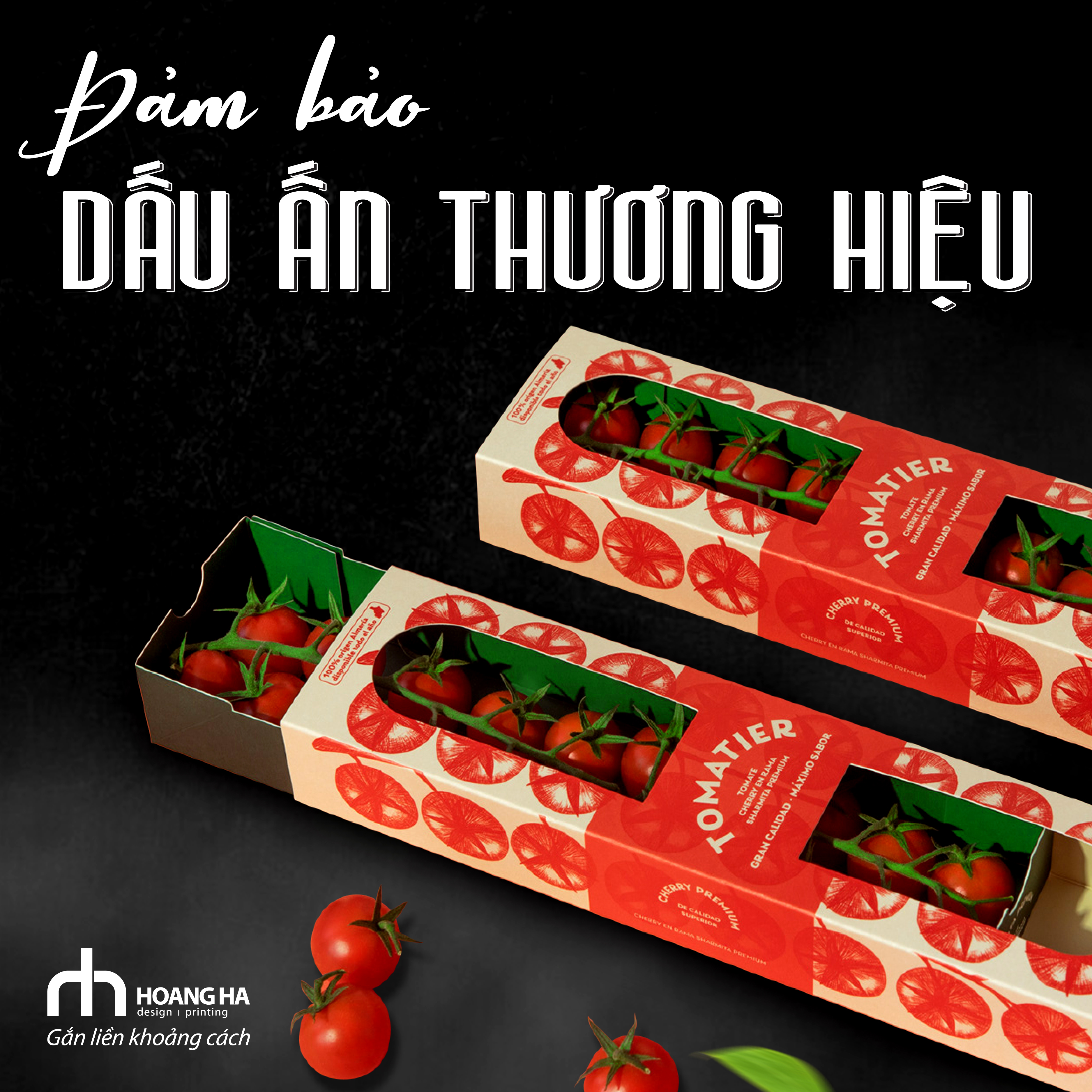 Vì Thương Hiệu Việt Tự Hào Và Phát Triển