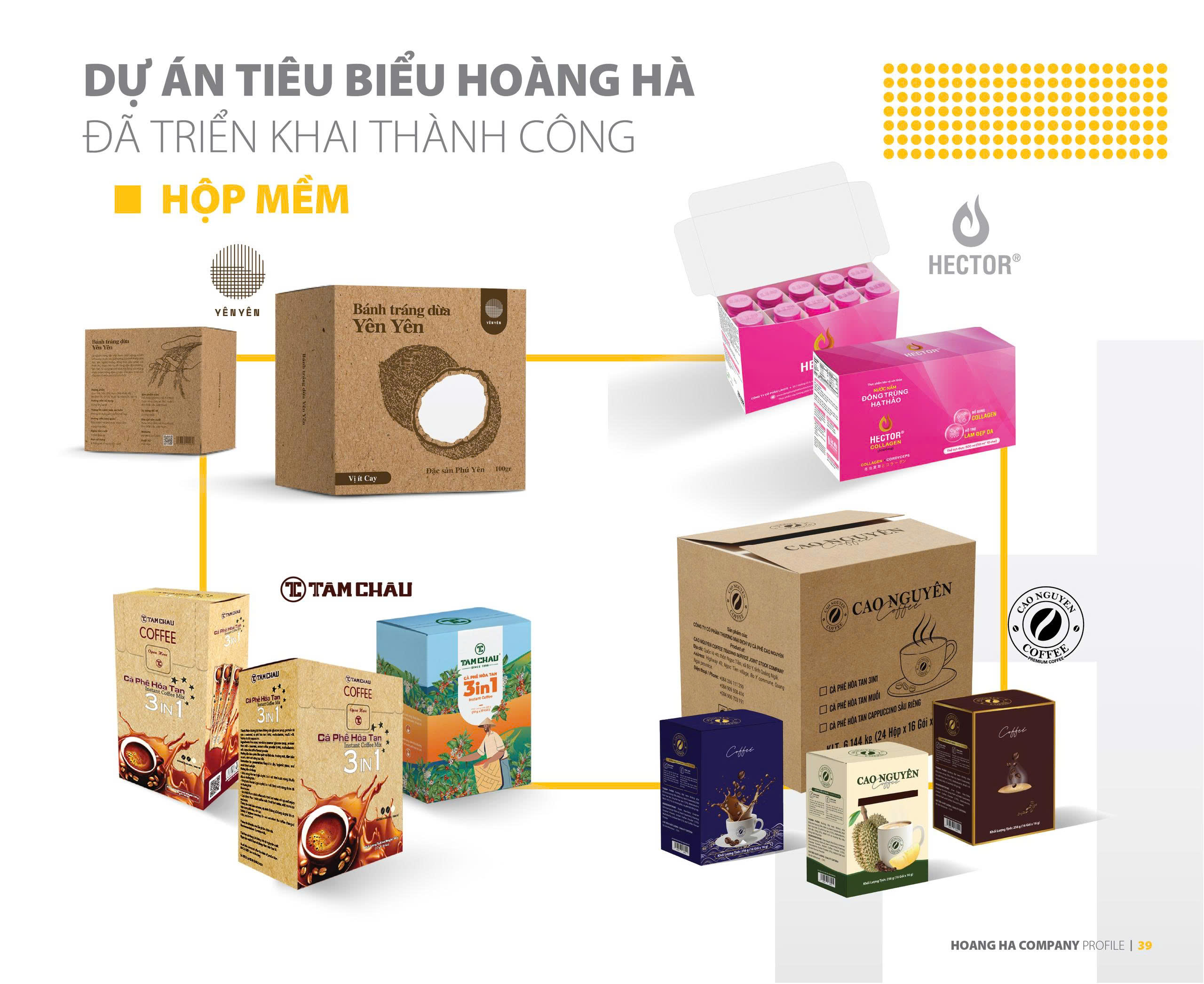 Tối Ưu Kỹ Thuật Sản Xuất Bao Bì Giấy Xuất Khẩu - Những Yếu Tố Quan Trọng Doanh Nghiệp Cần Biết?