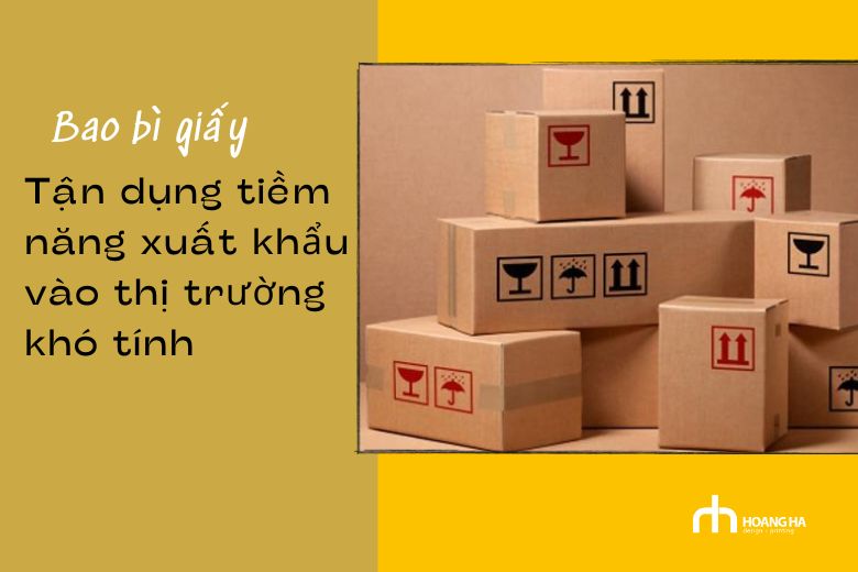 Ngành In Ấn Sản Xuất Bao Bì Giấy Việt Nam Tận Dụng Tiềm Năng Xuất Khẩu Vào Thị Trường Khó Tính