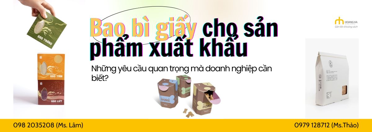 Bao Bì Giấy Cho Sản Phẩm Xuất Khẩu - Những Yêu Cầu Quan Trọng Mà Doanh Nghiệp Cần Biết?