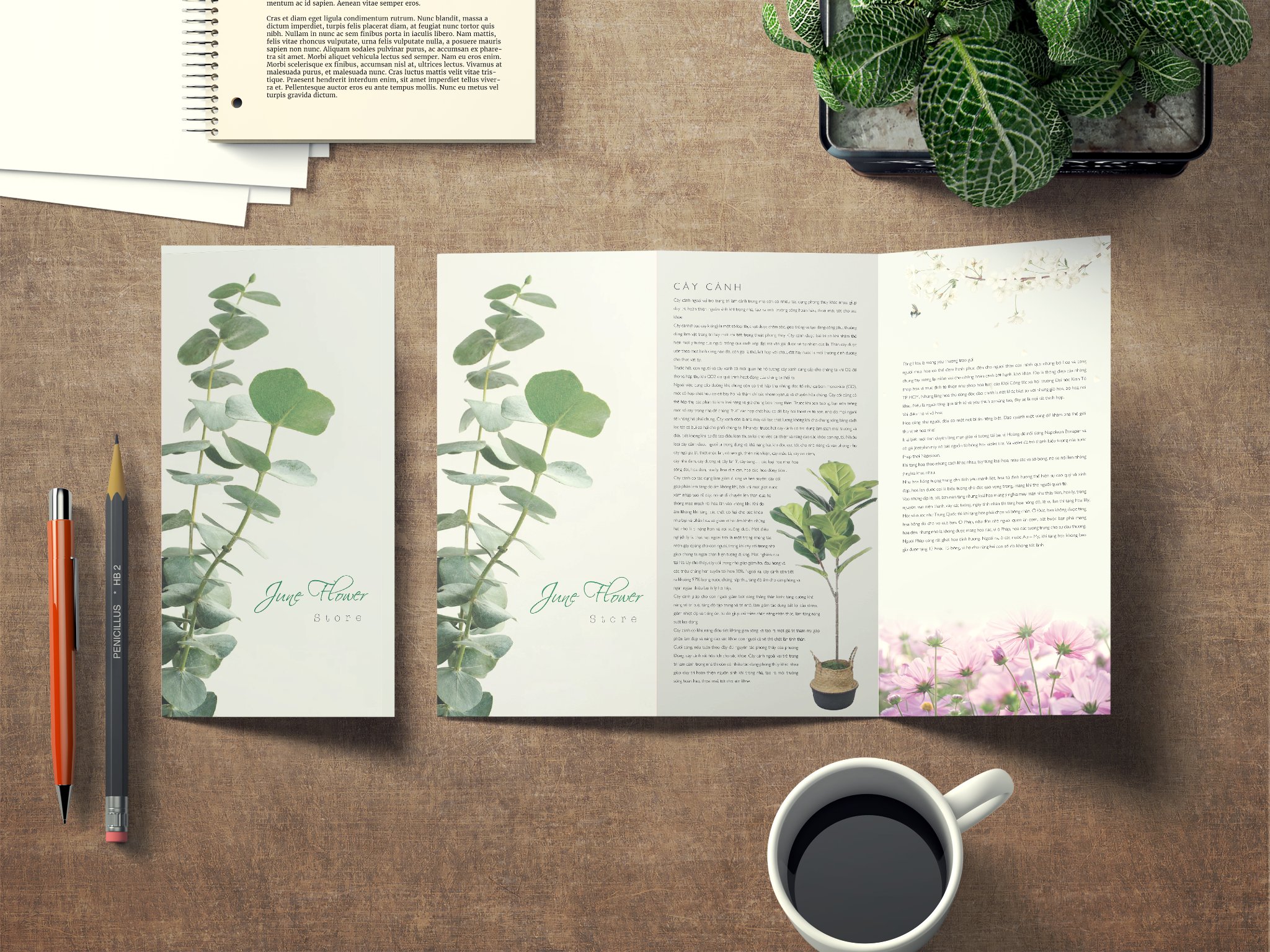 Tờ Gấp e34f511ea50575aea7329ea62c0ccce2.png