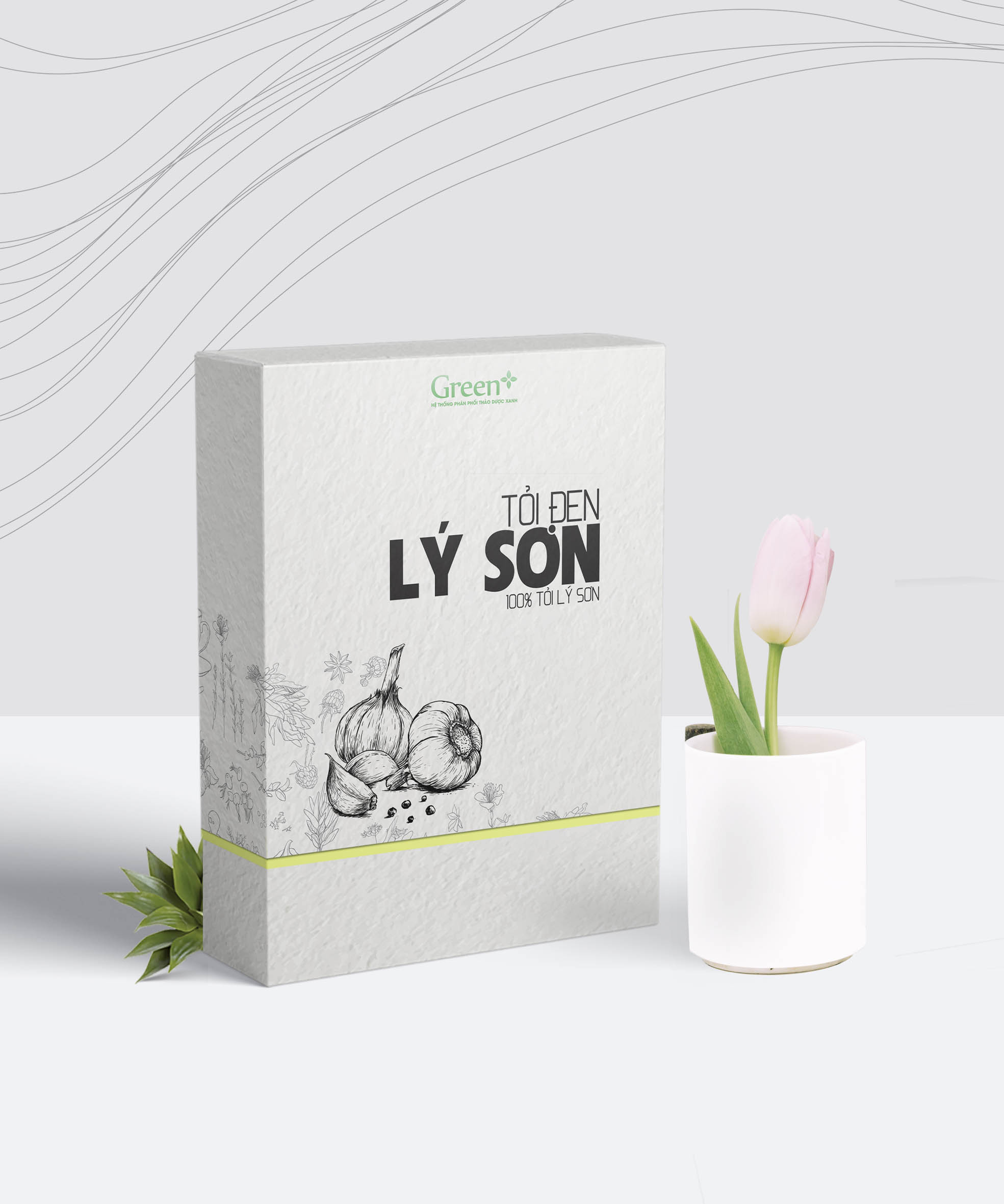 Hộp giấy - Thùng Carton